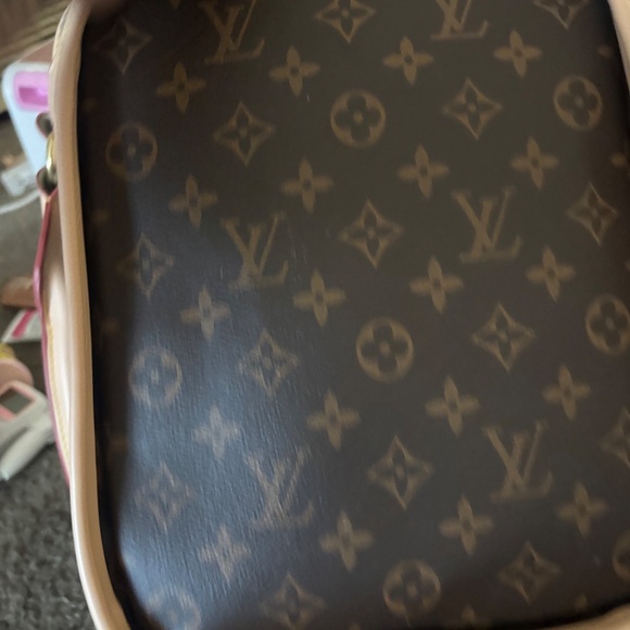 Louis Vuitton dog carrier - Picture 4 of 8